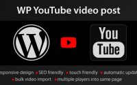 Sale Plugin YouTube WordPress plugin – Video import – 150k