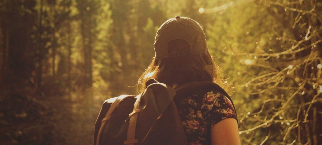 Hiking in the Forest