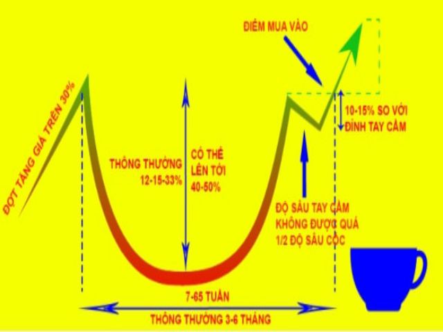 Biểu đồ mô hình cốc tay cầm