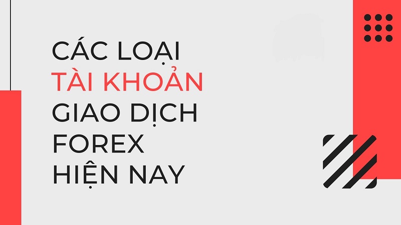 Các loại tài khoản Forex hiện nay gồm những gì?