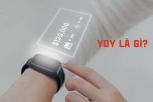 YOY là gì? Bật mí mọi sự thật thú vị về chỉ số YOY