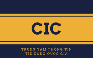 CIC là gì? Cách tra cứu CIC online đơn giản & chính xác 2021