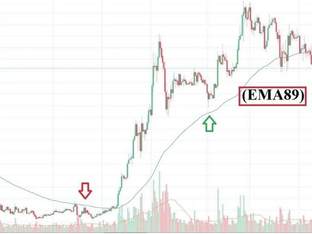 Đường EMA trong cản mềm