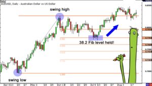 Hướng dẫn sử dụng Fibonacci thoái lui hiệu quả nhất