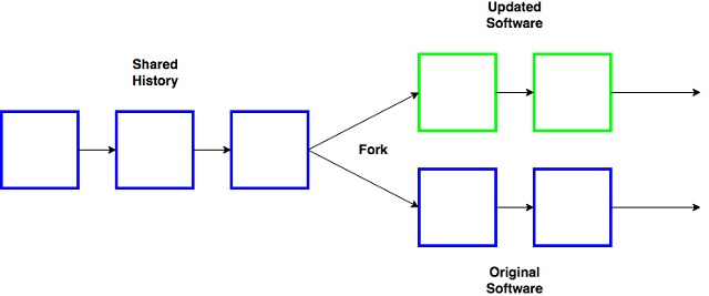 Fork trên blockchain là quá trình sao chép phần mềm gốc đồng thời thực hiện một số thay đổi