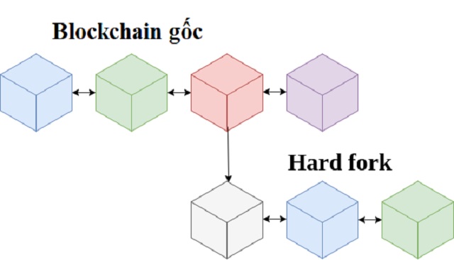 Hard Fork là gì?