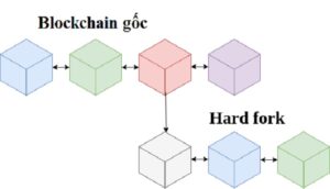 Hard Fork là gì? Tên tập kiến thức từ A đến Z về Hard Fork