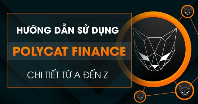 Hướng dẫn cách thức sử dụng Polycat Finance và những lưu ý trước khi dùng