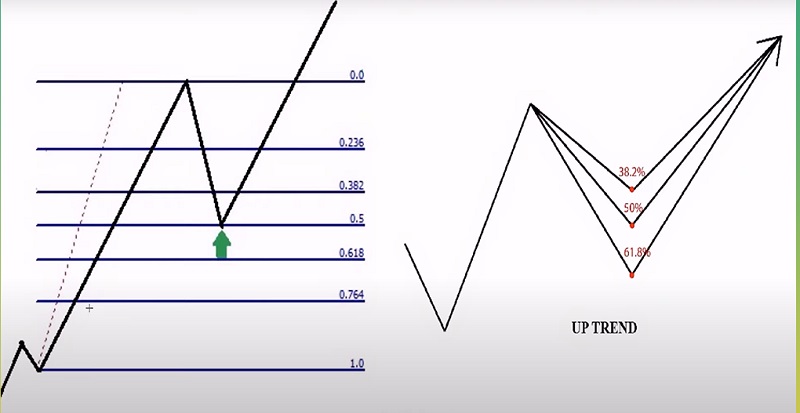 Hướng dẫn sử dụng Fibonacci thoái lui