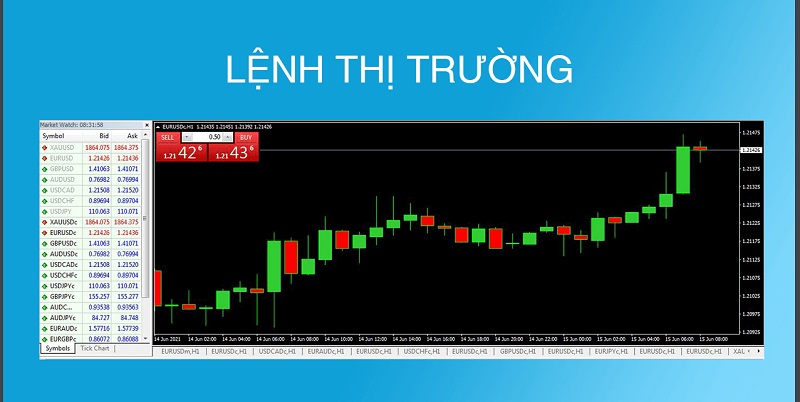 Lệnh thị trường là lệnh cơ bản các trader cần biết