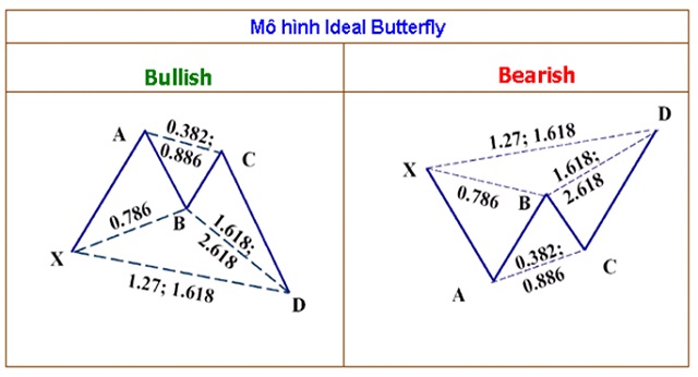 Mô hình cánh bướm thuộc dạng mô hình đảo chiều