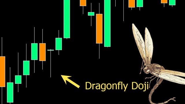 Nến Doji chuồn chuồn thường xuất hiện trong đầu xu hướng tăng hoặc cuối xu hướng giảm