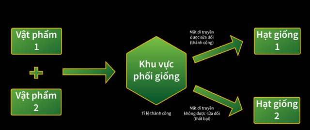 Sơ đồ hoạt động lai tạo giống trong thế giới WANAKA